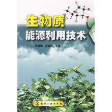 生物质能源利用技术