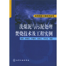 洗煤泥与污泥处理焚烧技术及工程实例
