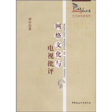 网络文化与电视批评
