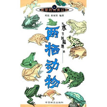 从水生到陆地的两栖动物