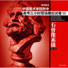 高考前沿·中国美术学院附中高考三小时现场模拟试卷3:石膏像素描