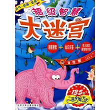 超级智慧大迷宫:冒险家