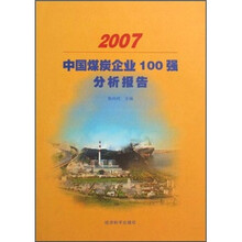2007中国煤炭企业100强分析报告