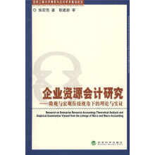 企业资源会计研究