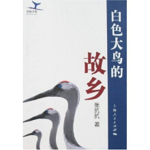 白色大鸟的故乡