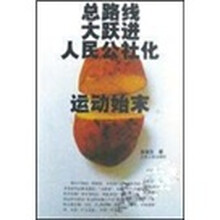 总路线 大跃进 人民公社化运动始末