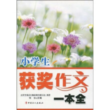 小学生获奖作文一本全