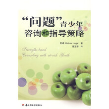 “问题”青少年咨询和指导策略