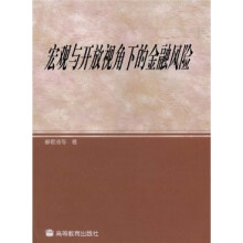 宏观与开放视角下的金融风险