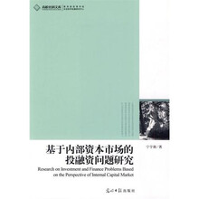 基于内部资本市场的投融资问题研究