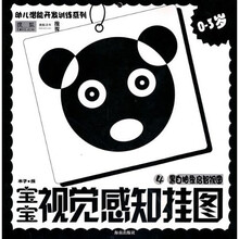 宝宝视觉感知挂图4：黑白抽象启智视图