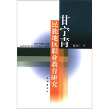 甘宁青民族地区职业教育研究