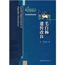 毛白杨遗传改良