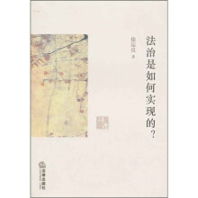 法治是如何实现的