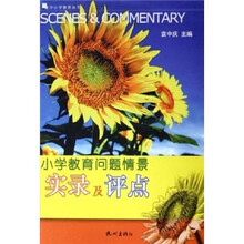小学教育问题情景实录及评点