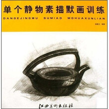 单个静物素描默画训练