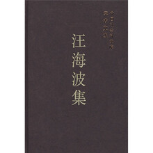 汪海波集