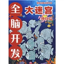 超级动脑迷宫系列：全脑开发大迷宫（挑战篇）