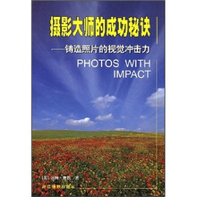 摄影大师的成功秘诀：铸造照片的视觉冲击力