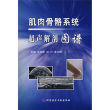 肌肉骨骼系统超声解剖图谱