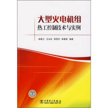 大型火电机组热工控制技术与实例