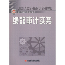 绩效审计实务