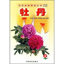 牡丹