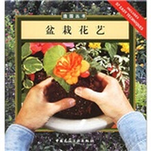 盆栽花艺