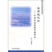 法律现代化：中国法治道路问题研究