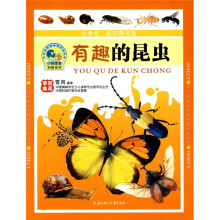 有趣的昆虫