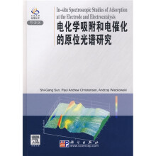 电化学吸附和电催化的原位光谱研究(导读版)