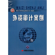 外资审计案例