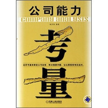 公司能力考量