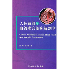 人体血管与血管吻合临床解剖学