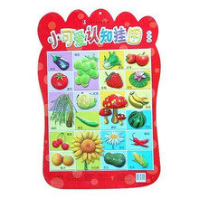 小可爱认知挂图（红红图）