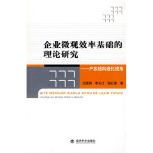 企业微观效率基础的理论研究