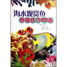 海水观赏鱼养殖技巧500条