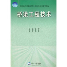 桥梁工程技术（高职高专道路桥梁工程技术专业规划教材）
