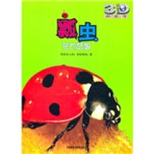 瓢虫:花衣姑娘