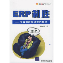 ERP制胜：有效驾驭管理中的数字
