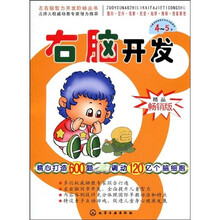 左右脑智力开发阶梯丛书：右脑开发（4～5岁）