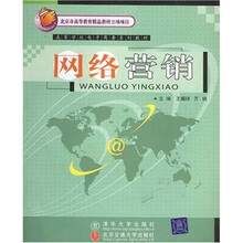 高等学校电子商务系列教材:网络营销