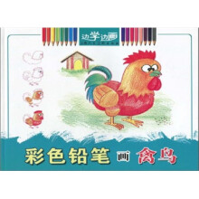 彩色铅笔画禽鸟