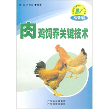 肉鸡饲养关键技术