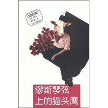 缪斯琴弦上的猫头鹰