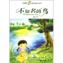 小虎娃儿童文学新人丛书:不知名的鸟