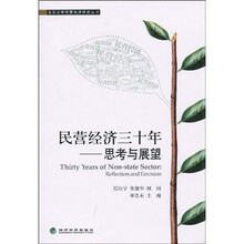 民营经济三十年：思考与展望