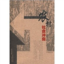 转型时期的农村社会冲突