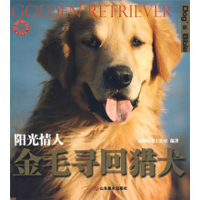 金毛寻回猎犬(阳光情人)