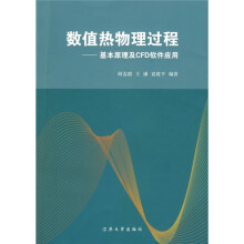 数值热物理过程：基本原理及CFD软件应用